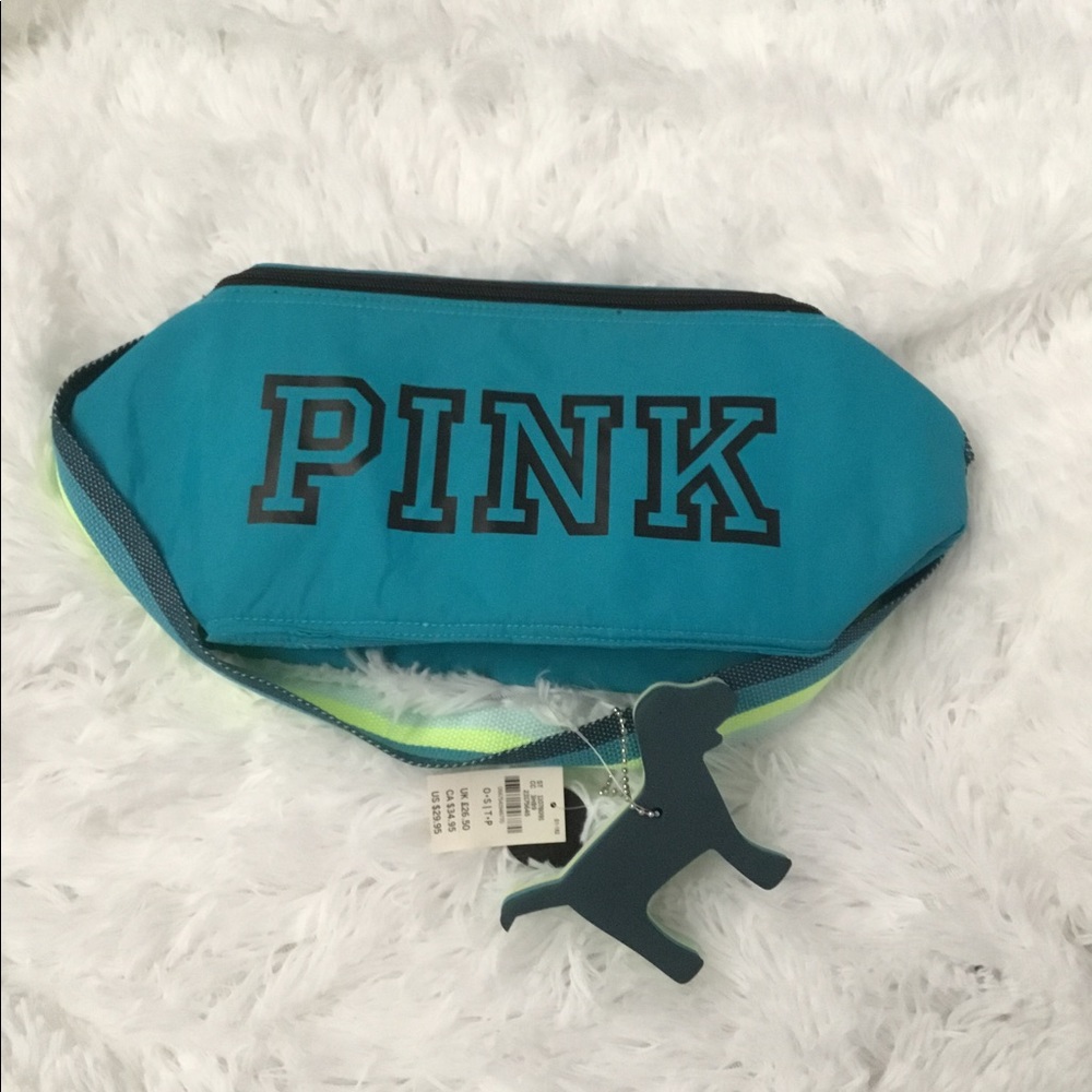 PINK TURQUOISE COOLER LUNCH BAG W/DOG KEY CHAIN NWT